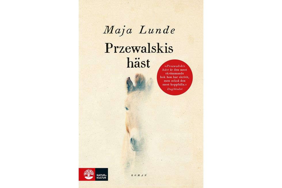 Veckans bästa böcker – kulturredaktören tipsar!