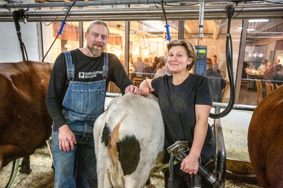 Britta-Karin och Thomas öppnade restaurang i sin lada