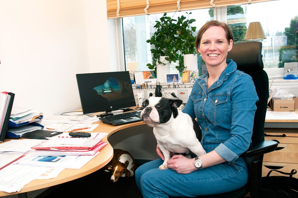 Här får hundarna följa med till jobbet: