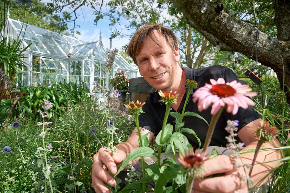 Karl Fredrik: Blomsterbutiken skulle vara ett sommarjobb