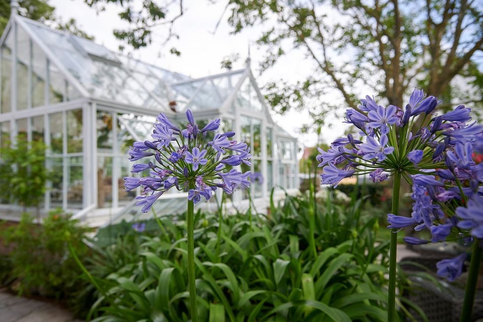 Karl Fredrik: Blomsterbutiken skulle vara ett sommarjobb