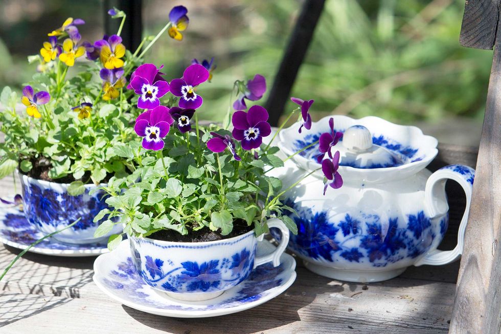 Låt våren blomma i loppisfynden