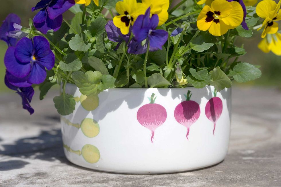 Låt våren blomma i loppisfynden