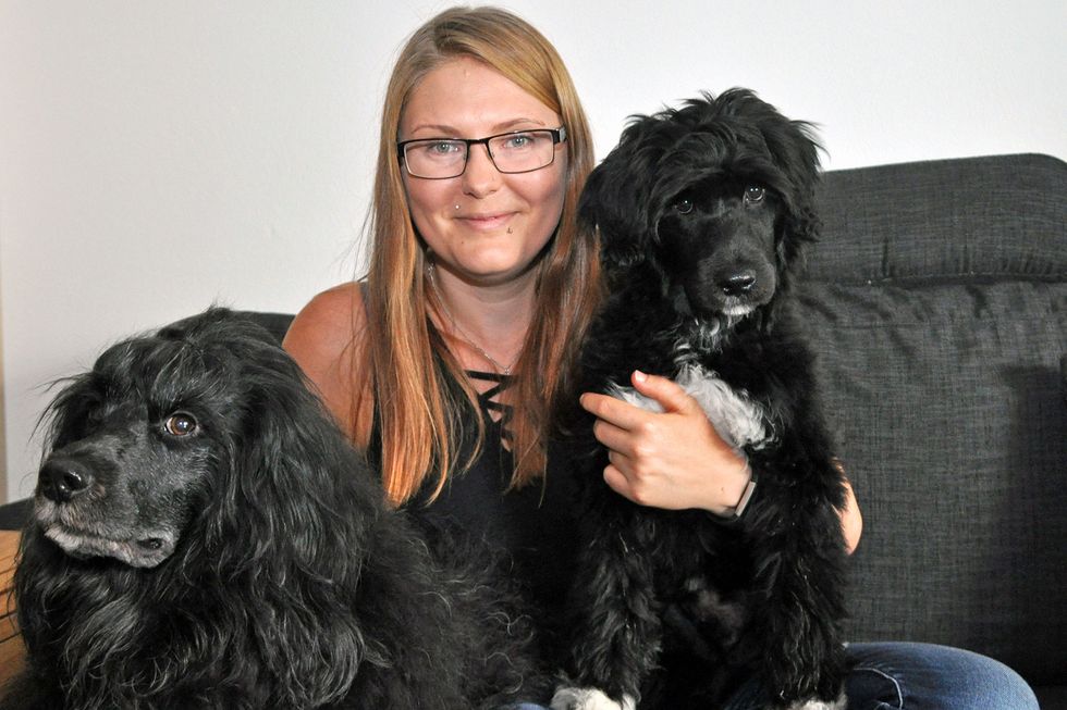 Hunden Diezel håller koll på Emelies diabetes: