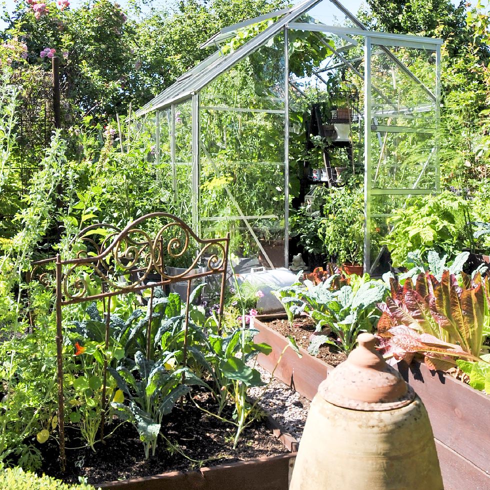 Camillas trädgård är en romantisk blomsterdröm