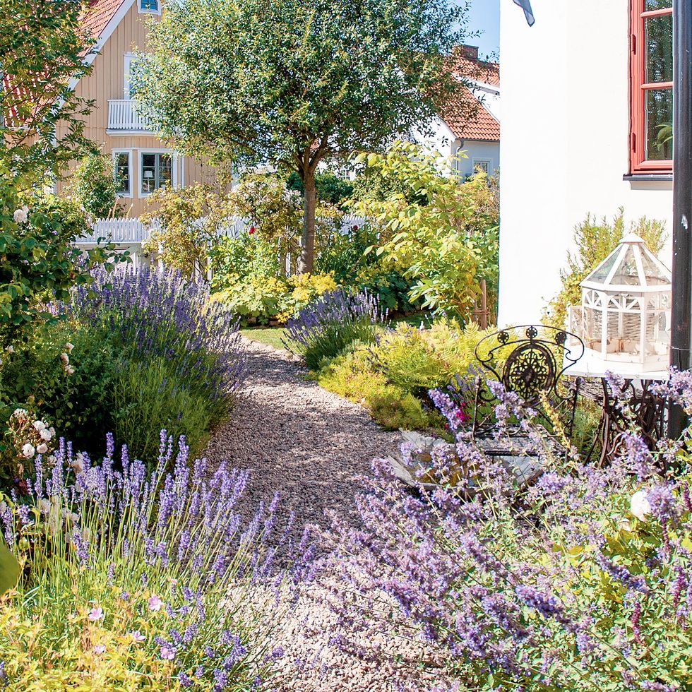 Camillas trädgård är en romantisk blomsterdröm