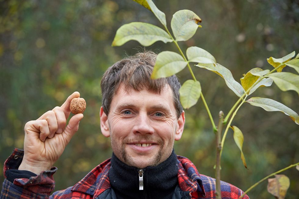 Jona och Etta har planterat 400 nötträd: 