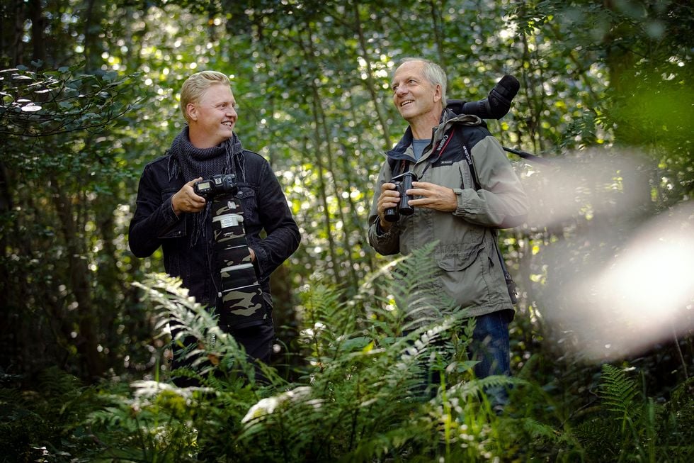 Fågelfoto blev Jonas läkning under sjukdomstiden: 