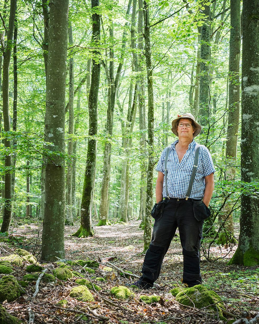 Göran förverkligade sin lavendeldröm i Småland: 