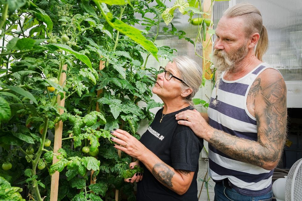 Ungdomskärlekarna återfann varandra som vuxna:  