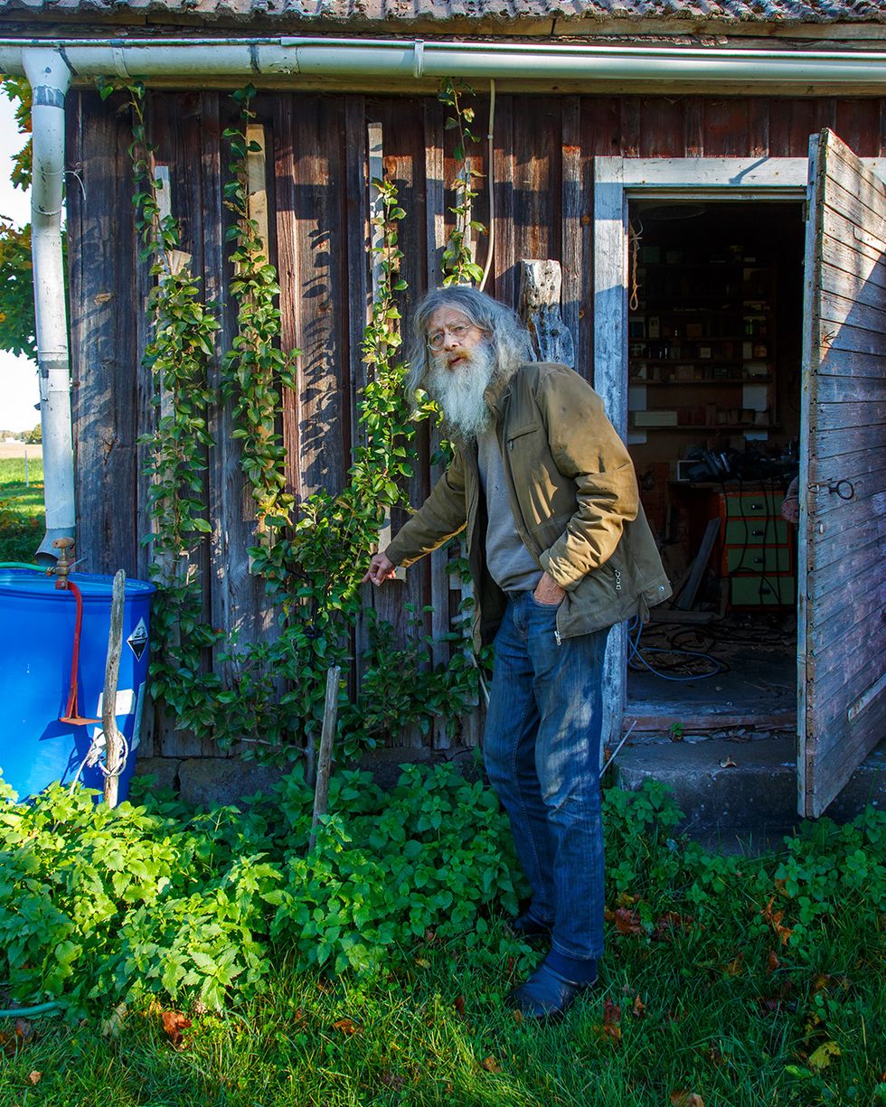 Lyckas med päronodlingen: Pomologen Joja ger sina bästa tips