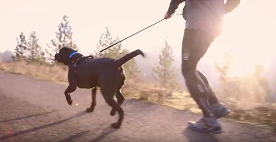 Hunden Peety blev adopterad – förändrade livet för hussen Eric