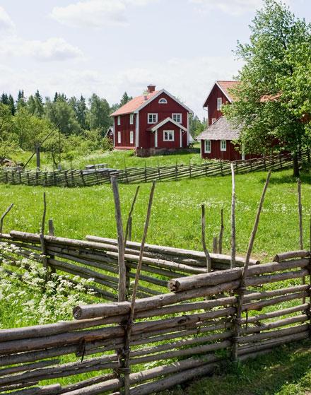 Här är semesternöjena som inte kostar ett öre!