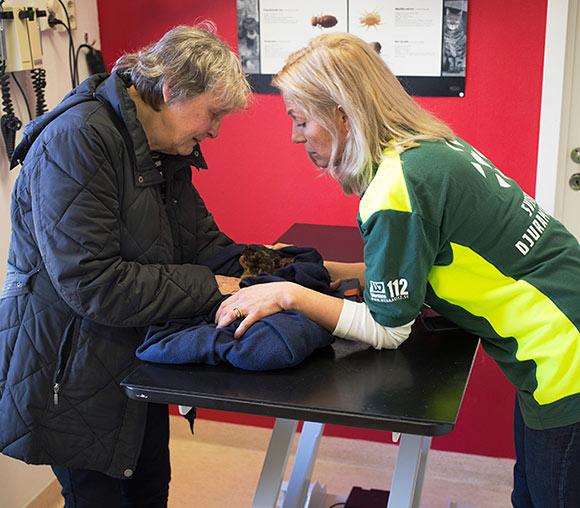 Husdjuren prioriteras när djurambulansen rycker ut