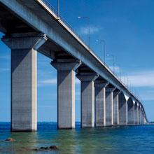 Mirakelkatten Engla överlevde hoppet från Ölandsbron!