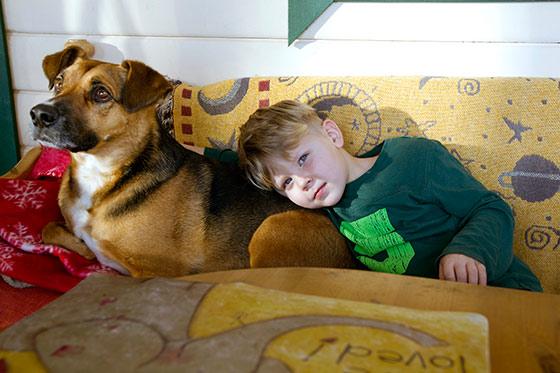 Seved räddade hunden Benji undan avlivning