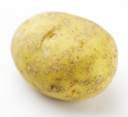 Jonas Alströmers ättling för kärleken till potatis vidare