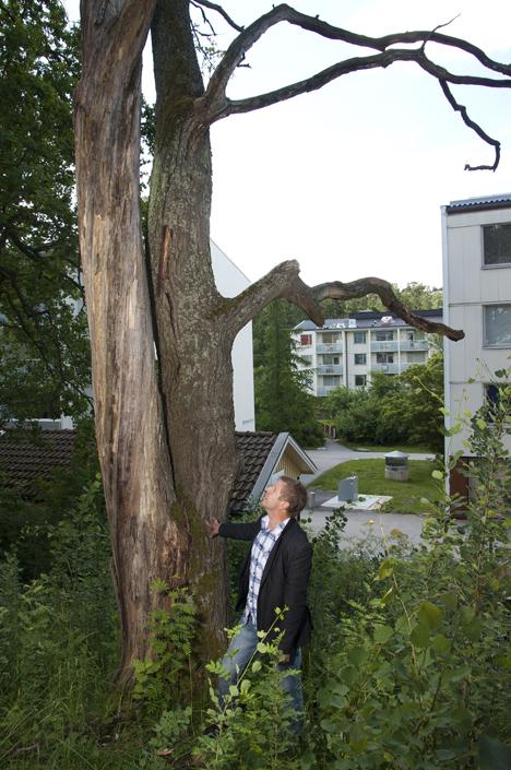 Skådespelaren Johan Hedenberg: Minnena lämnade mig inte ifred