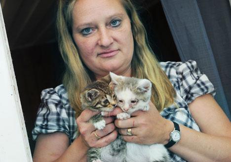 Cecilias katter har fler än 9 liv!