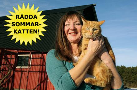 Jag hittade övergivna kattungar i 8-gradig kyla – då väcktes idén om ett katthem!