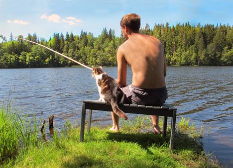 Vilka underbara Smultronställen!