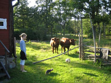 Vilka underbara Smultronställen!