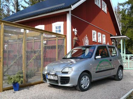 Eva ger katterna deras egen lyxsemester!