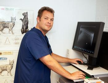 Ville och Viktor stortrivs som kattseniorer - nu 20 år gamla!