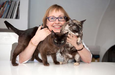 Lär dig kattens språk