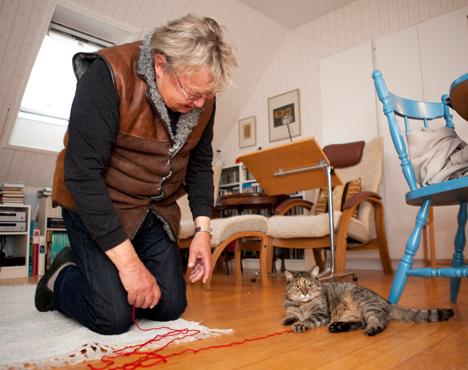 Nils skrev kärlekshistoria till katten