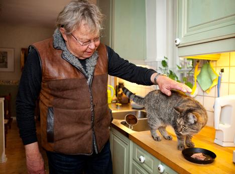 Nils skrev kärlekshistoria till katten