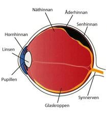 Näthinneavlossning - sök hjälp i tid
