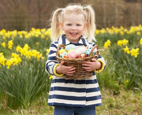 Ägg – en naturlig multivitamin!