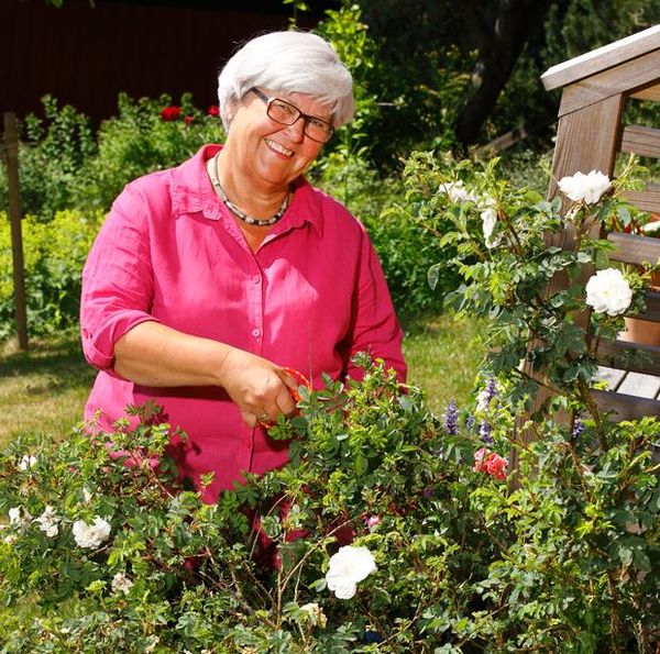 Ny sorts madrass botade Ann-Christines sömnapné!