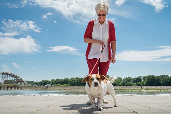 Skaffa hund och bli friskare