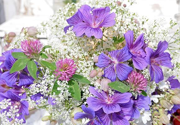 Sju sorters blommor för ljuva drömmar