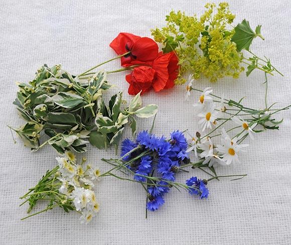 Sju sorters blommor för ljuva drömmar