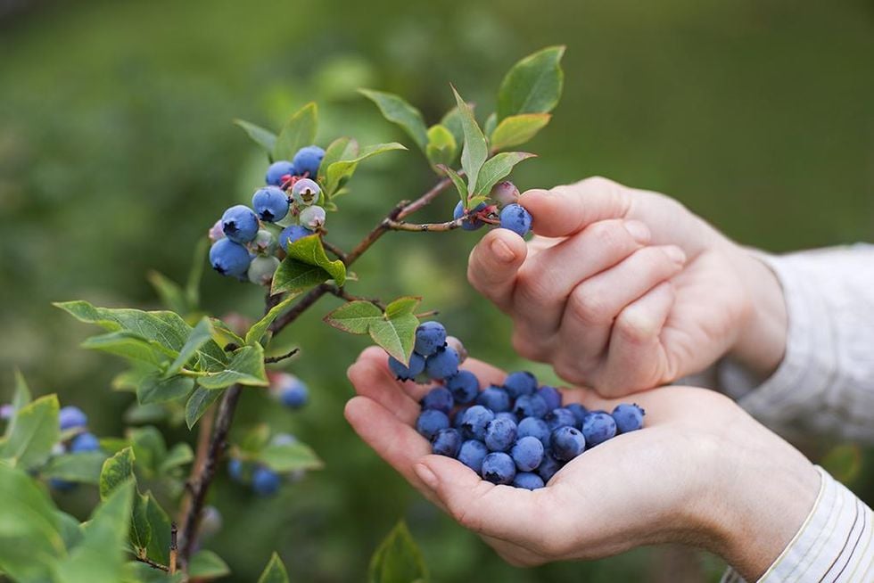 Smygträna i sommar - 6 tips som hjälper dig hålla formen!