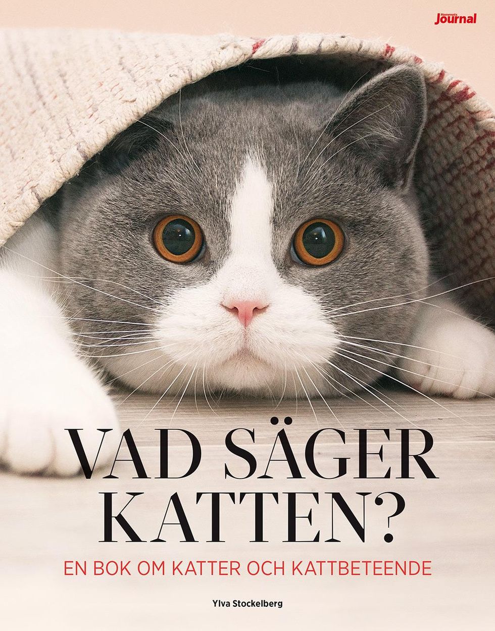 Vår expert Ylva kan allt om katter