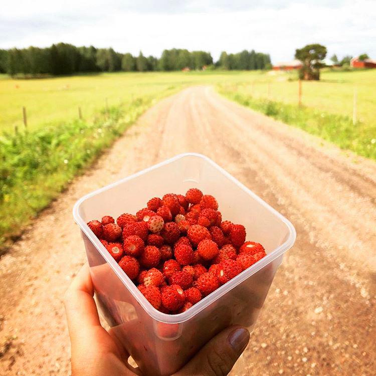 Här är vinnarna i vår stora fototävling!