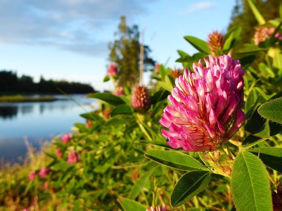 Här är vinnarna i vår stora fototävling!