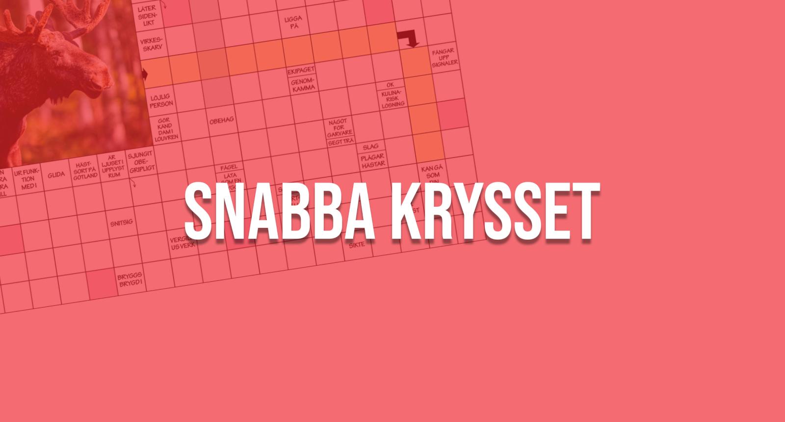 Snabba krysset 17