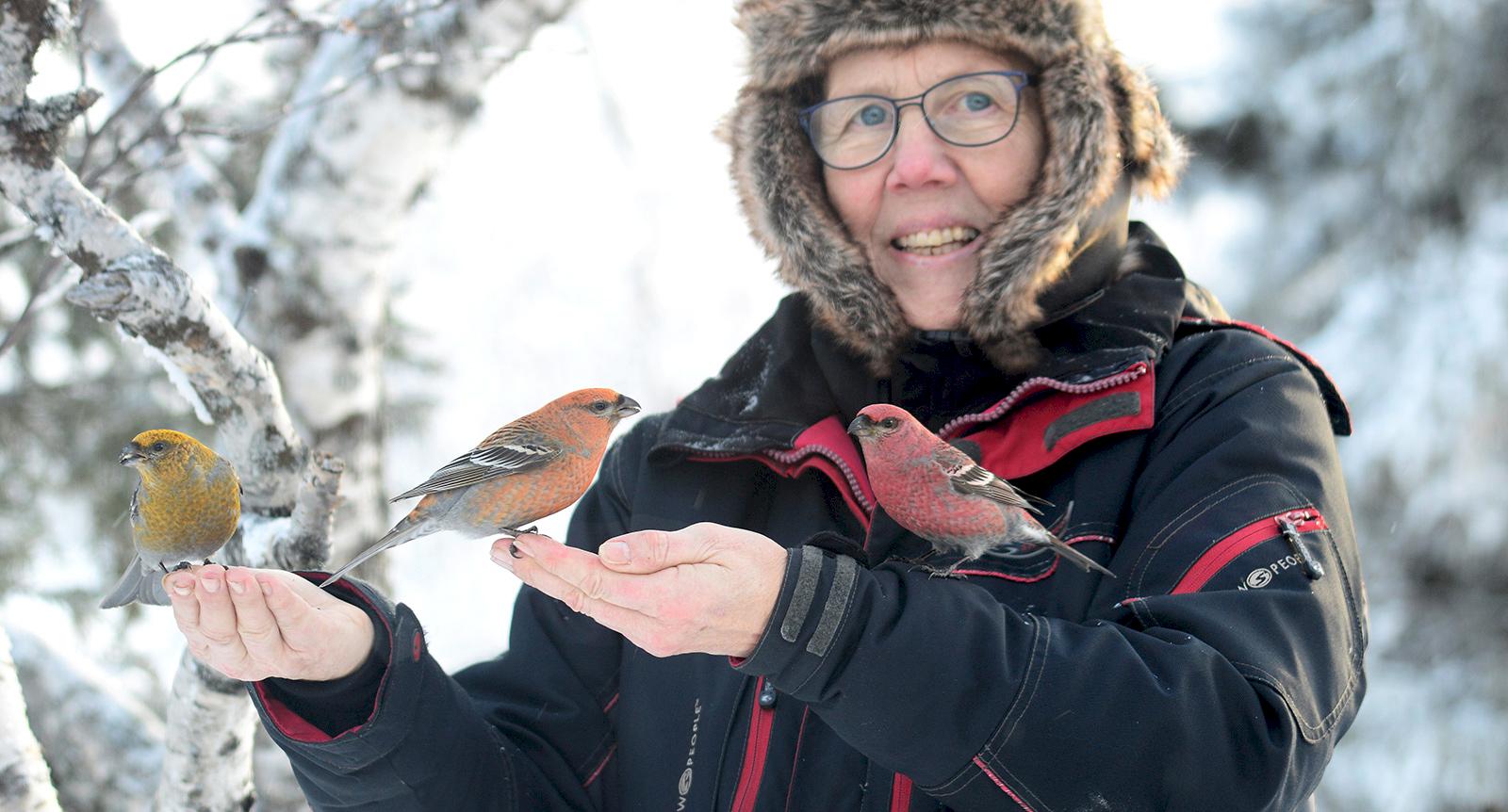 Karin är naturfotografen som djuren litar på: “Flera av dem äter ur min hand”