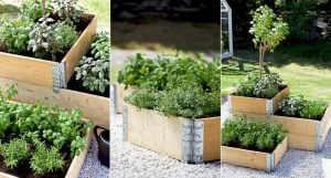 Odla i pallkrage – 7 viktiga tips