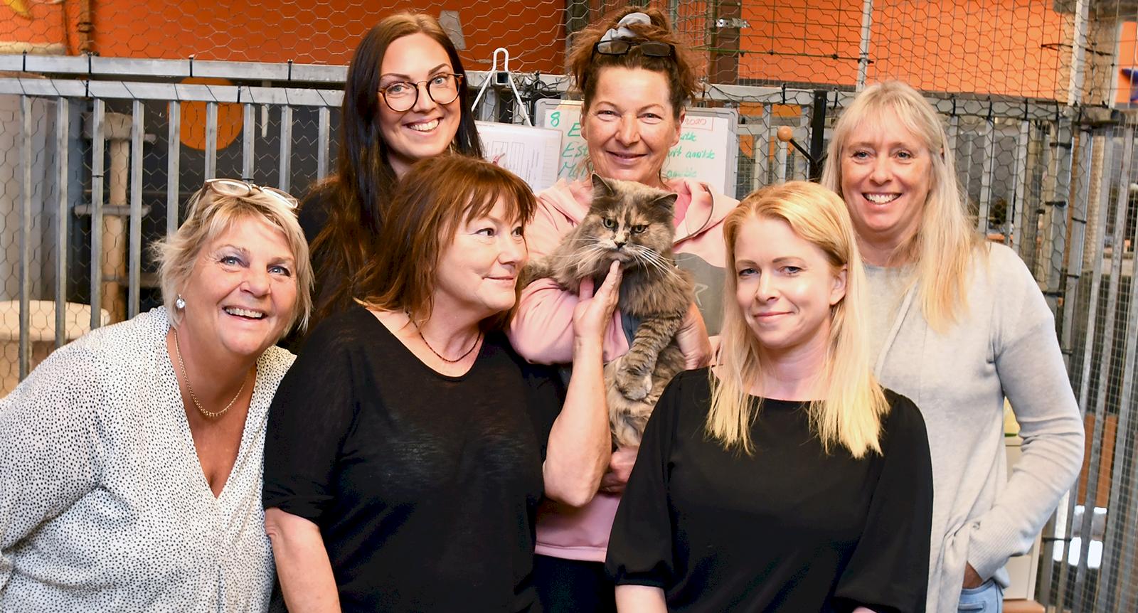 Här får övergivna katter en ny chans: “Behovet är mycket stort”