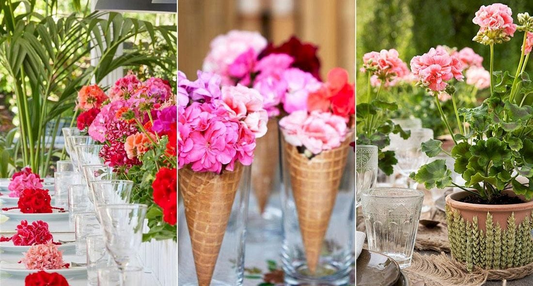 Sätt färg på dukningen med pelargoner – 5 fina idéer