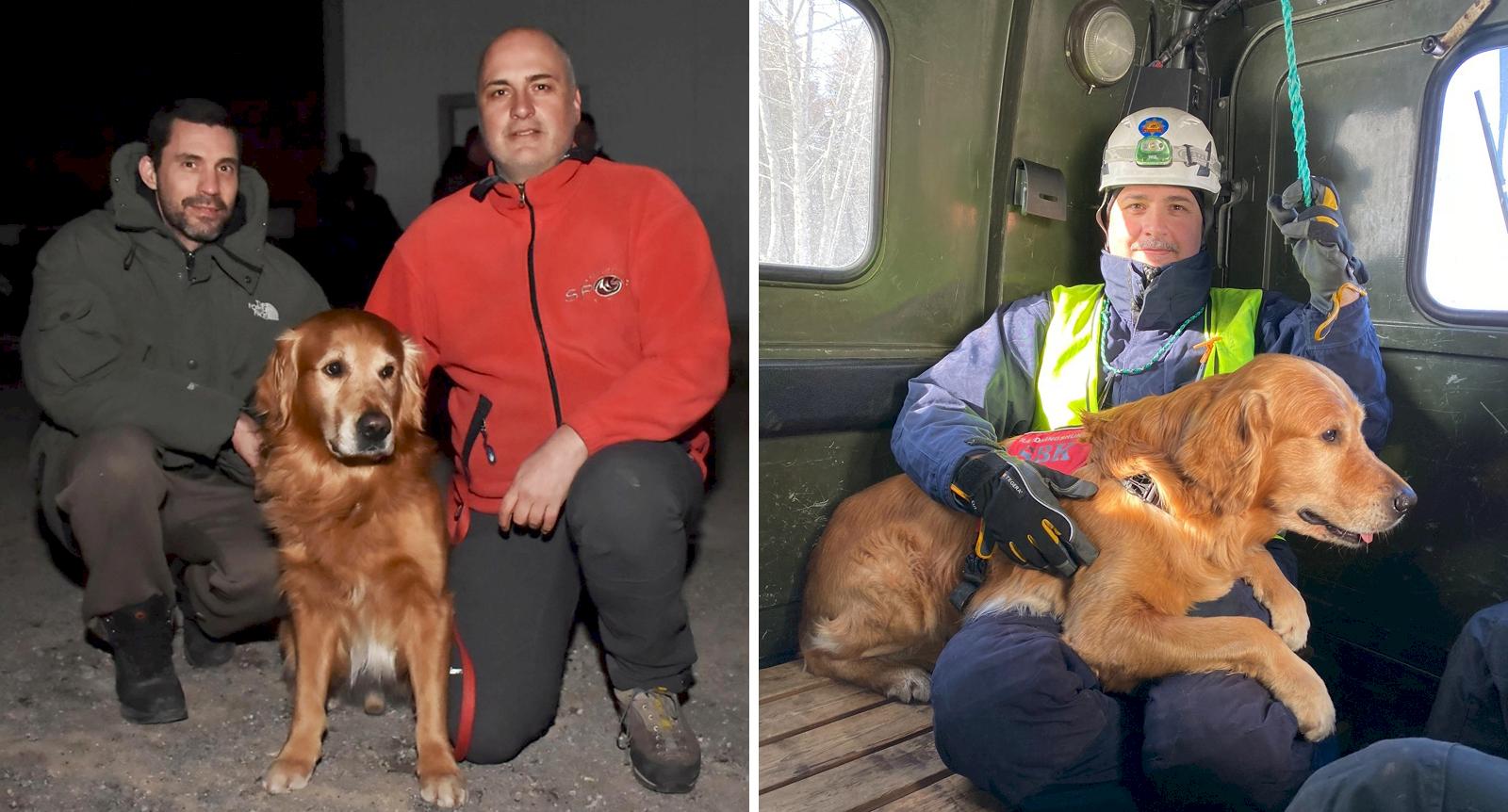 Hunden Killian räddade livet på 18 människor från rasmassorna