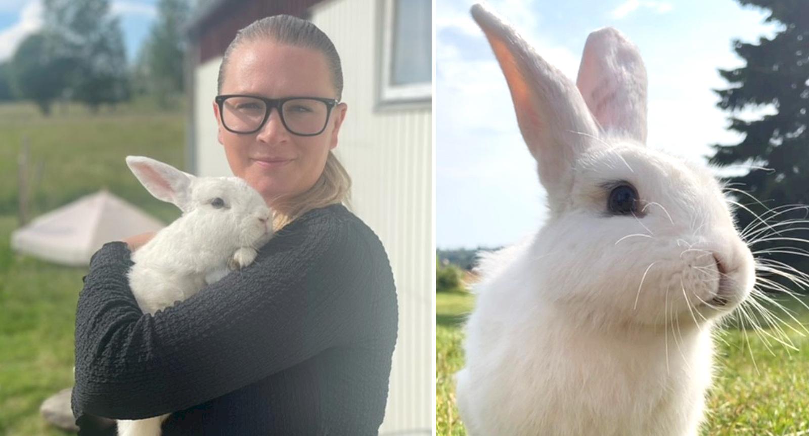 Kaninen Bobby övergavs på industriområde: “Han har en otroligt fin personlighet”