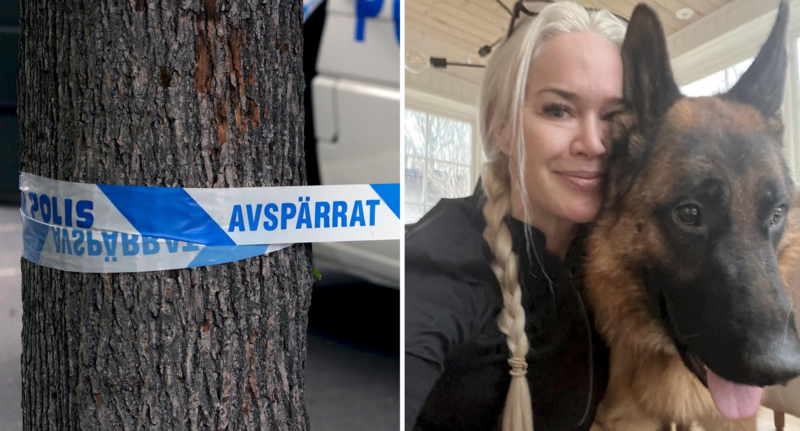 Johannas hund rymde efter bilolyckan: “Jag blev helt förtvivlad”
