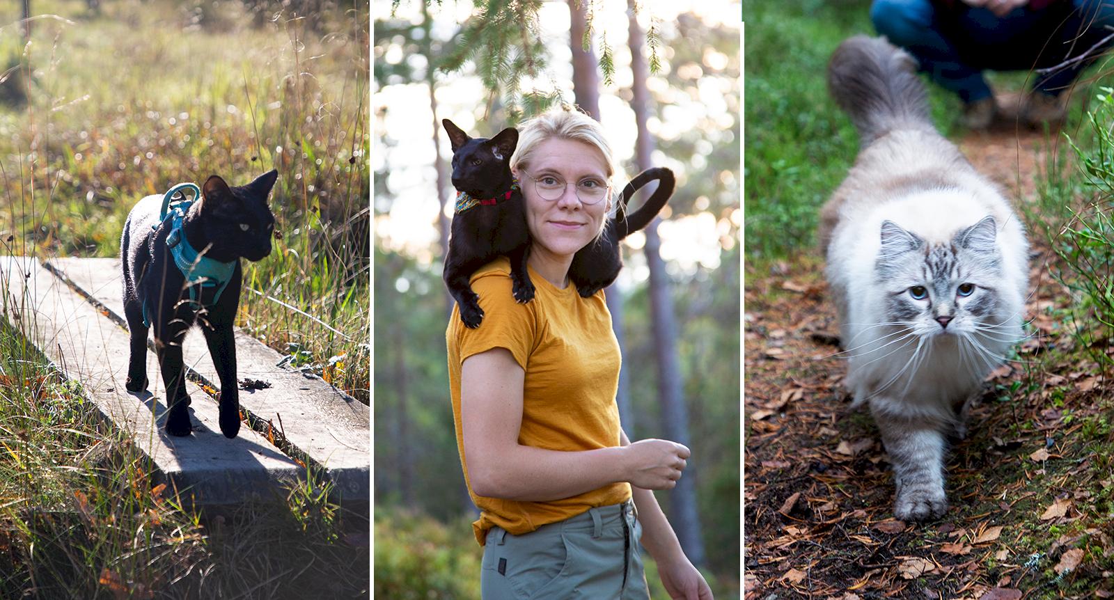 Ta med katten på vandring: Möt missarna som trivs bäst i naturen